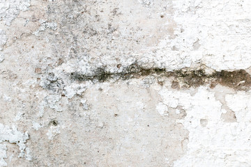 A background of peeling paint and rusty old metal