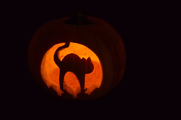 Halloween Pumpkin with carved cat shape silhouette on black background.