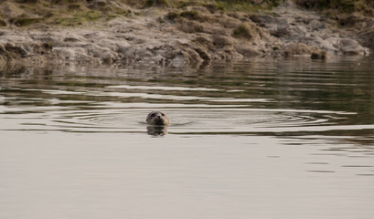 Seal surfaces for air