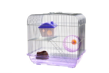 Empty animal cage isolated on white