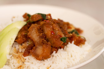 Fried pork on rice in white plate
