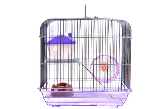 Empty animal cage isolated on white