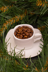 Coffee beans in a white cup and fir branch