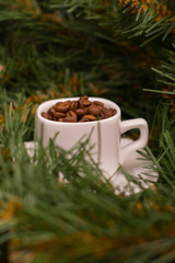 Coffee beans in a white cup and fir branch