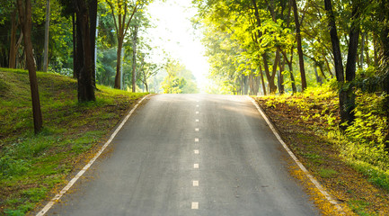 Fototapeta premium forest road trees along at the country side in thailand