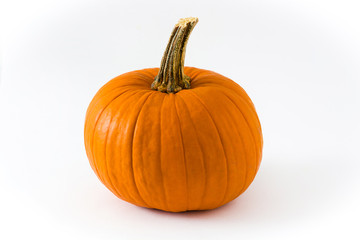 Pumpkin isolated on white background

