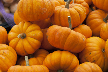 Tiny Pumpkins