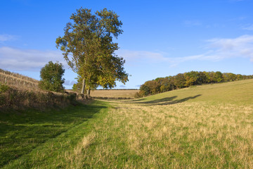 autumn valley