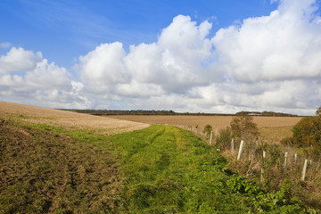 autumn in the yorkshire wolds