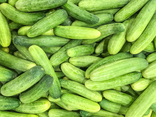 Closeup surface pile of fresh cucumber textured background