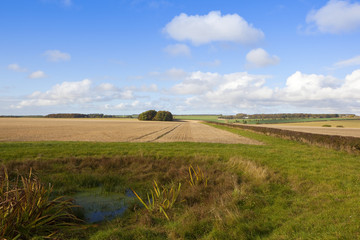 Obraz premium bridleway and dew pond