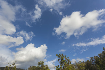 Fototapeta premium Blue sky