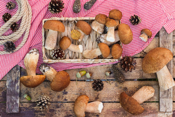 Raw white mushrooms, pine cones and decorative tag