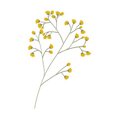 branches with Leaves and flowers icon. Nature floral garden and decoration theme. Isolated design. Vector illustration