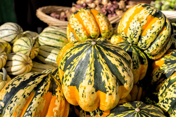 Colorful winter squashes at a farmers market. 