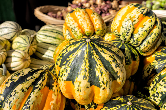 Colorful Winter Squashes At A Farmers Market. 