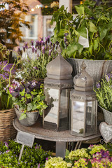 Home decor and plants by flower shop