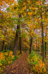 Late autumn day