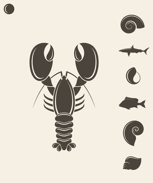 Shell. Lobster. Fish. Vector illustration