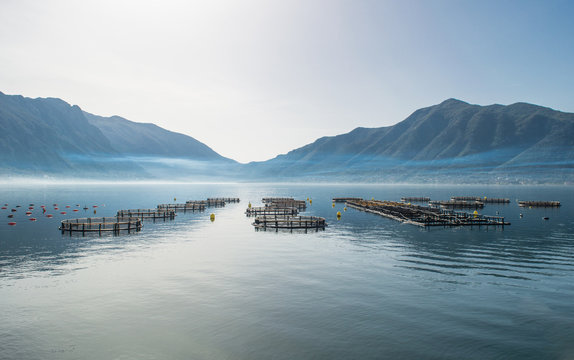 Cages for fish farming