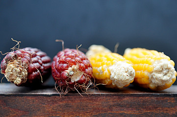 corn cobs with shiny beads © imago1956rs