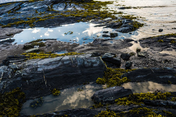 tide pool beach reflection