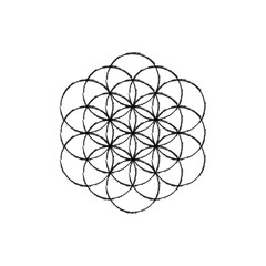Flower of life vector.Line sketch icon.