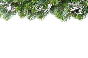Christmas tree frame background