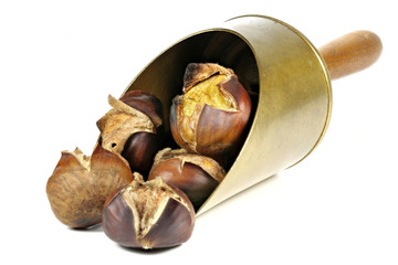 roasted chestnuts in a brass scoop isolated on white background