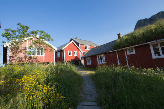 rorbur in reine norwegen