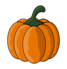 halloween  pumpkin vector symbol icon design