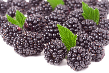 pile of blackberry with leaves isolated on white background
