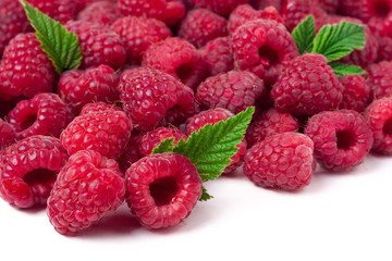 many raspberries isolated on a white background