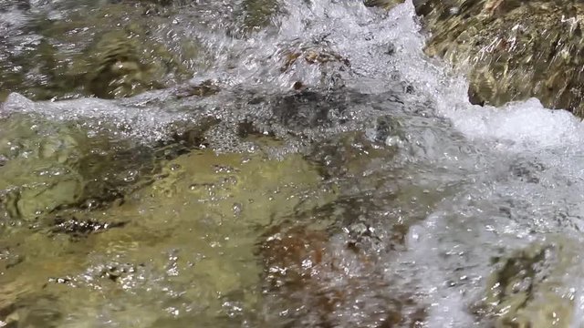 R&iacute;o aguas limpias en Sallent de G&aacute;llego, Valle de Tena (Huesca)