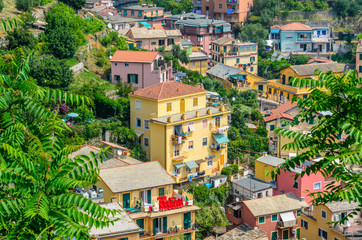 Fototapeta premium Monterosso in Cinque Terre, Italy, view at the town from mountain trail