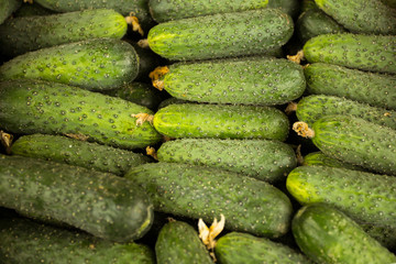 Cucumbers background