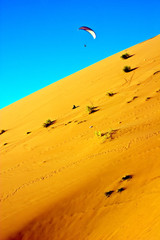 Flying in the dunes