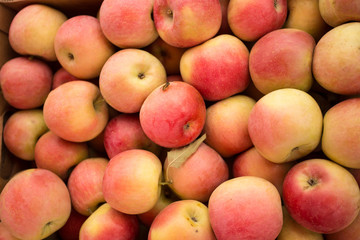 Pink apples background