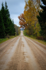 Fototapeta premium The path through the woods