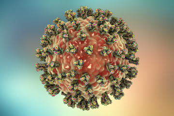 Parainfluenza virus, 3D illustration. Common cold virus. Paramyxovirus. Illustration shows structure of parainfluenza virus with surface glycoprotein spikes