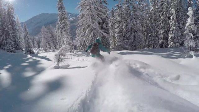 FOLLOW: Freeride snowboarder girl riding fresh powder snow in snowy mountains