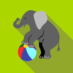 Elephant on a ball icon. Flat illustration of elephant on a ball vector icon for web isolated on green background