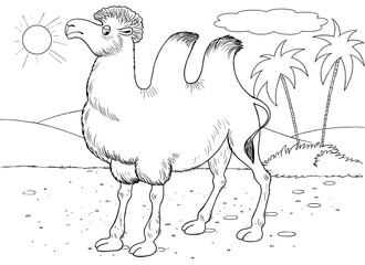 At the zoo. A cute camel in the desert. Illustration for children. Coloring book. Coloring page. Funny cartoon characters.
