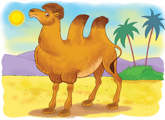 At the zoo. A cute camel in the desert. Illustration for children. Coloring book. Coloring page. Funny cartoon characters.