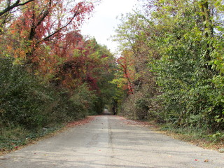 Prospettiva d'autunno