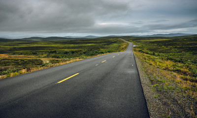 Naklejka premium Empty road in the northern Norway