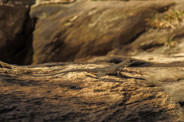 Brazil, Minas Gerais, Lapinha da Serra, Santana do Riacho, Serra do Cipó