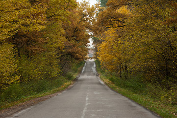 Obraz premium Autumn road