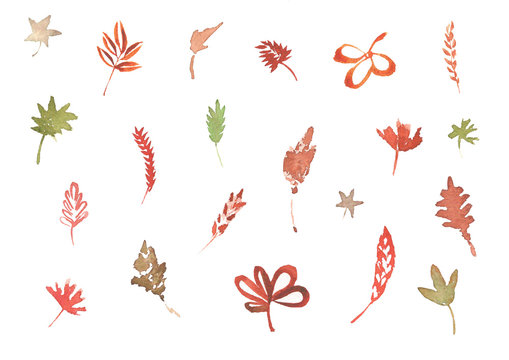 Set of different leaves, hand drawn watercolor illustration, floral