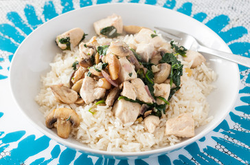 Stir-fried chicken, mushrroms and spinach served with white rice